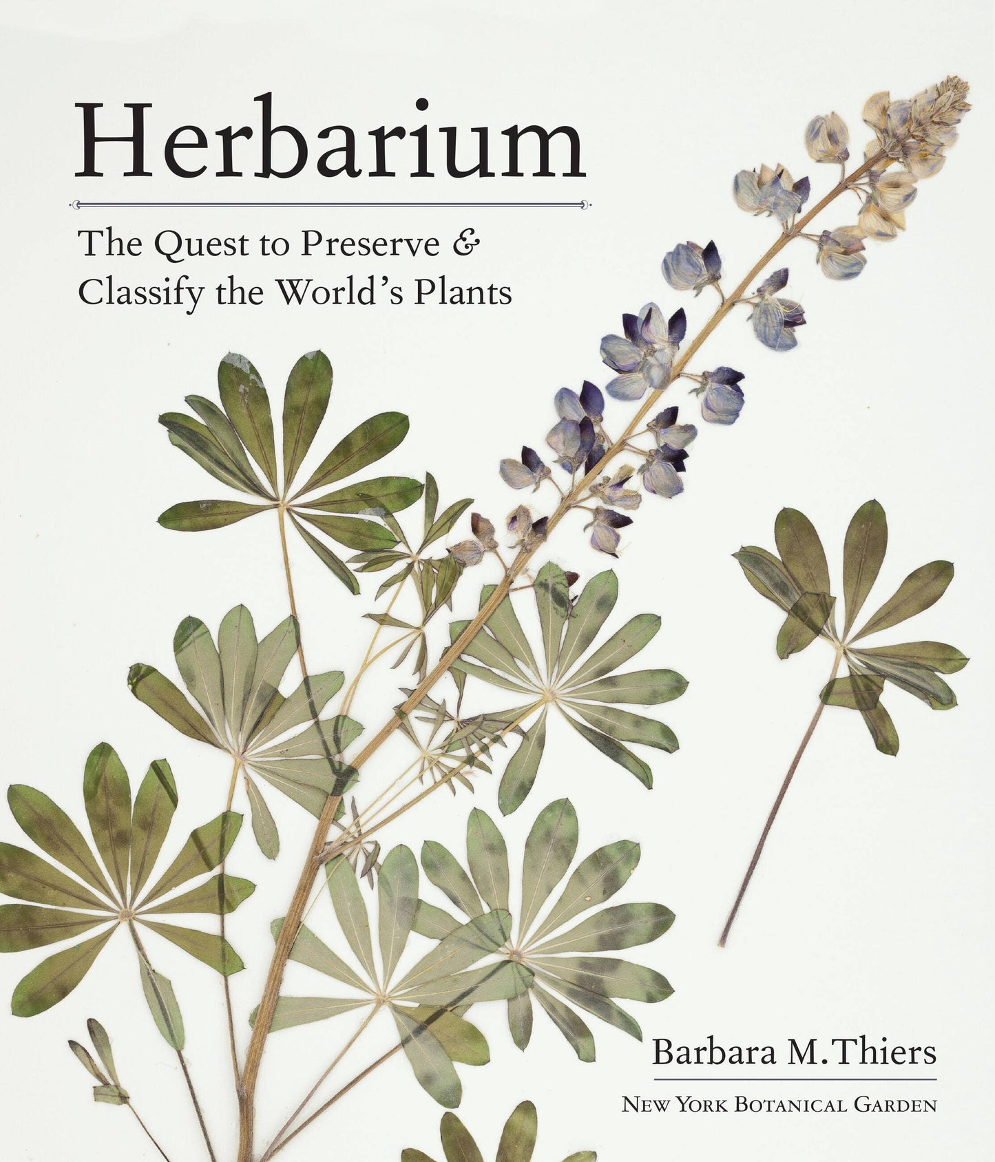 Herbarium: Hardcover