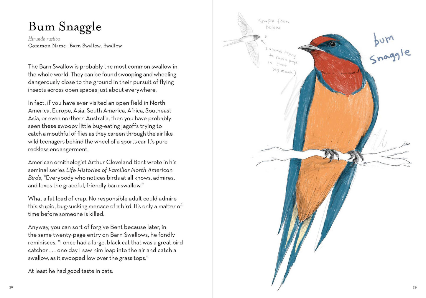 Dumb Birds Field Guide to the Worst Birds Ever - Chronicle Books
