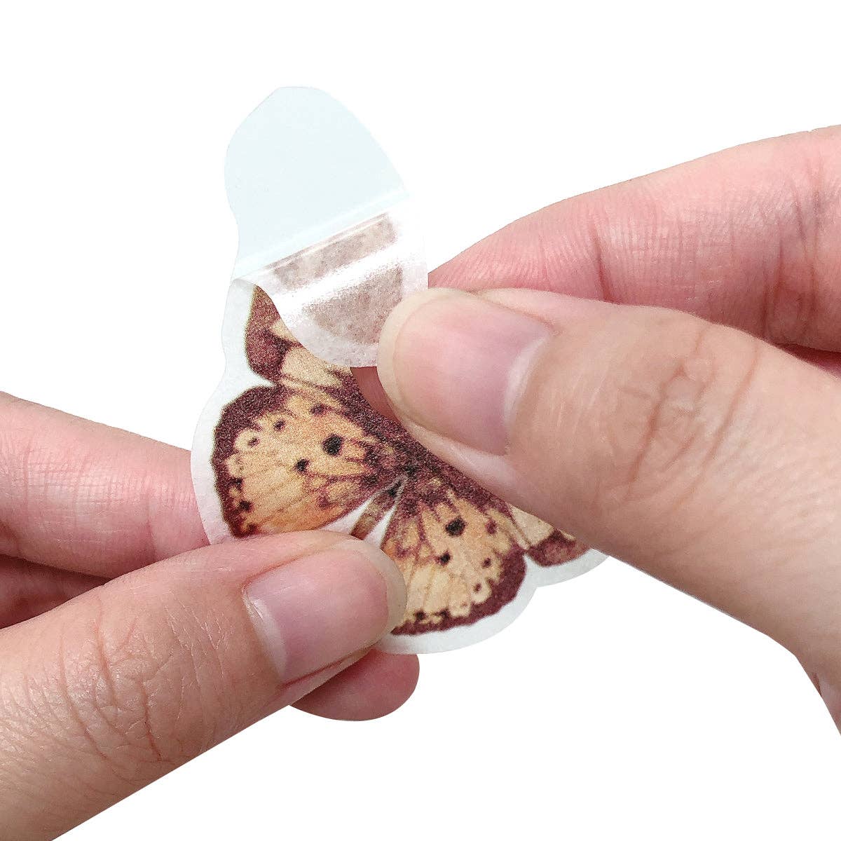 Wrapables.com - Wrapables Decorative Scrapbooking Washi Stickers, (60 pcs): Butterflies