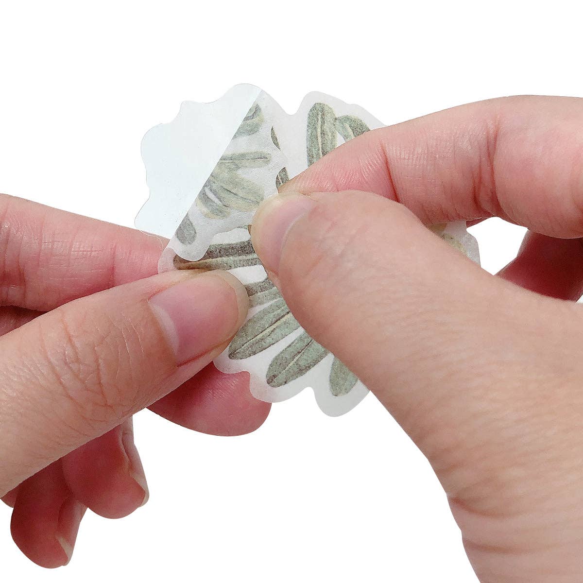 Wrapables.com - Wrapables Decorative Scrapbooking Washi Stickers, (60 pcs): Butterflies