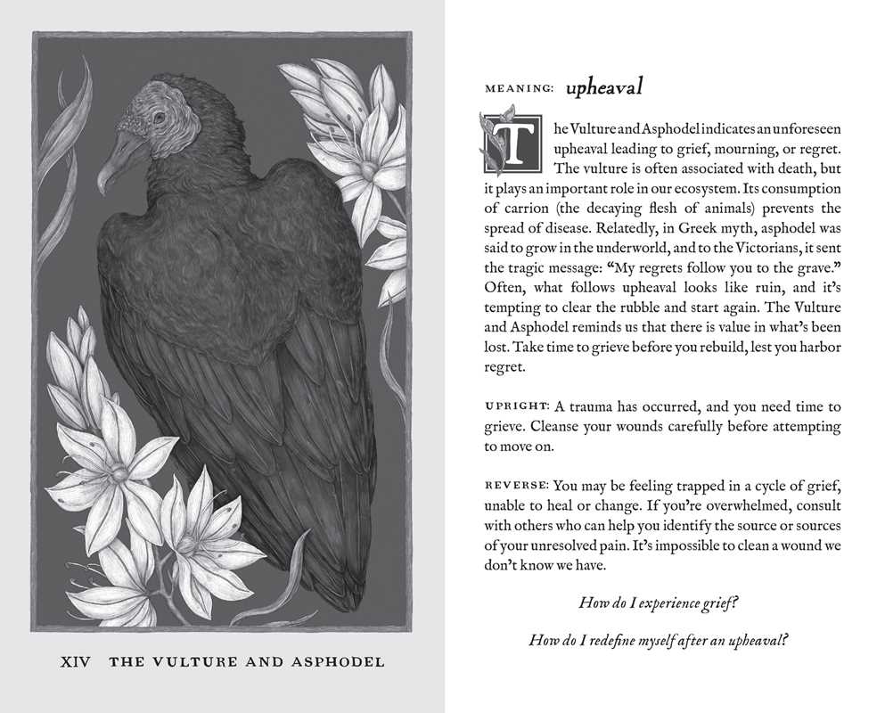 Simon & Schuster - Woodland Wardens by Jessica Roux: Mixed Media; 52 pages / English