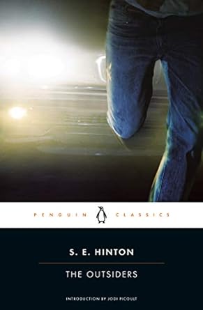 The Outsiders by S. E. Hinton