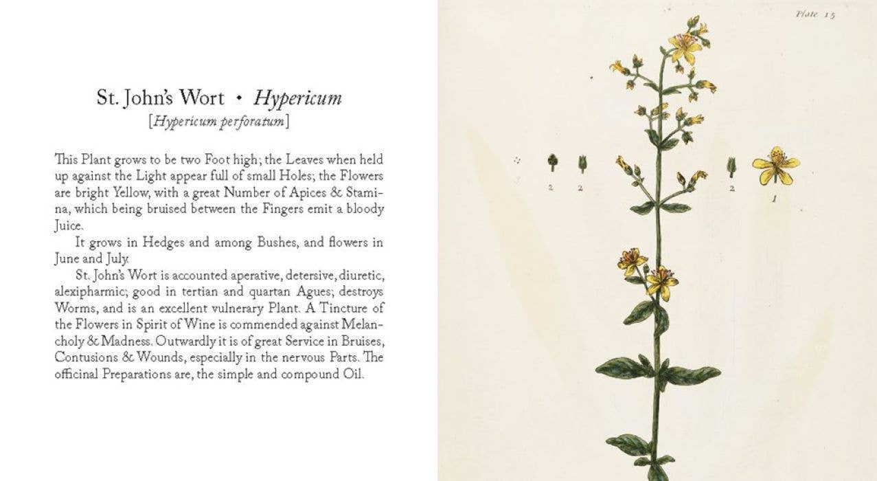 Healing Plants: From Elizabeth Blackwell's A Curious Herbal (Hardcover)