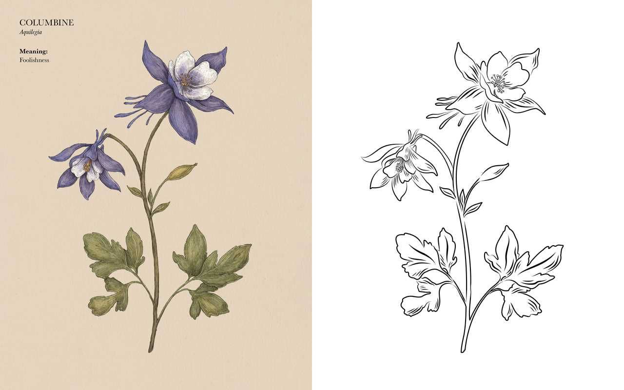 Floriography Coloring Book by Jessica Roux: Paperback