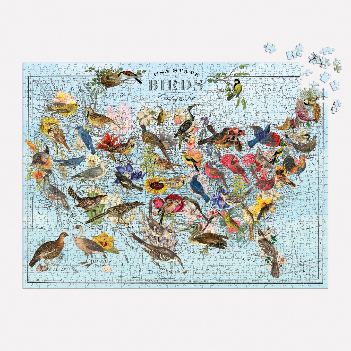 Chronicle Books - Wendy Gold State Birds 1000 Piece Puzzle