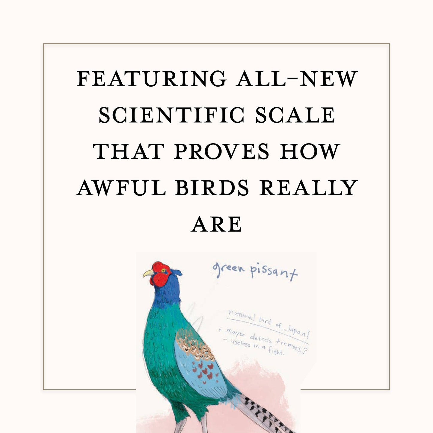 Dumb Birds Field Guide to the Worst Birds Ever - Chronicle Books