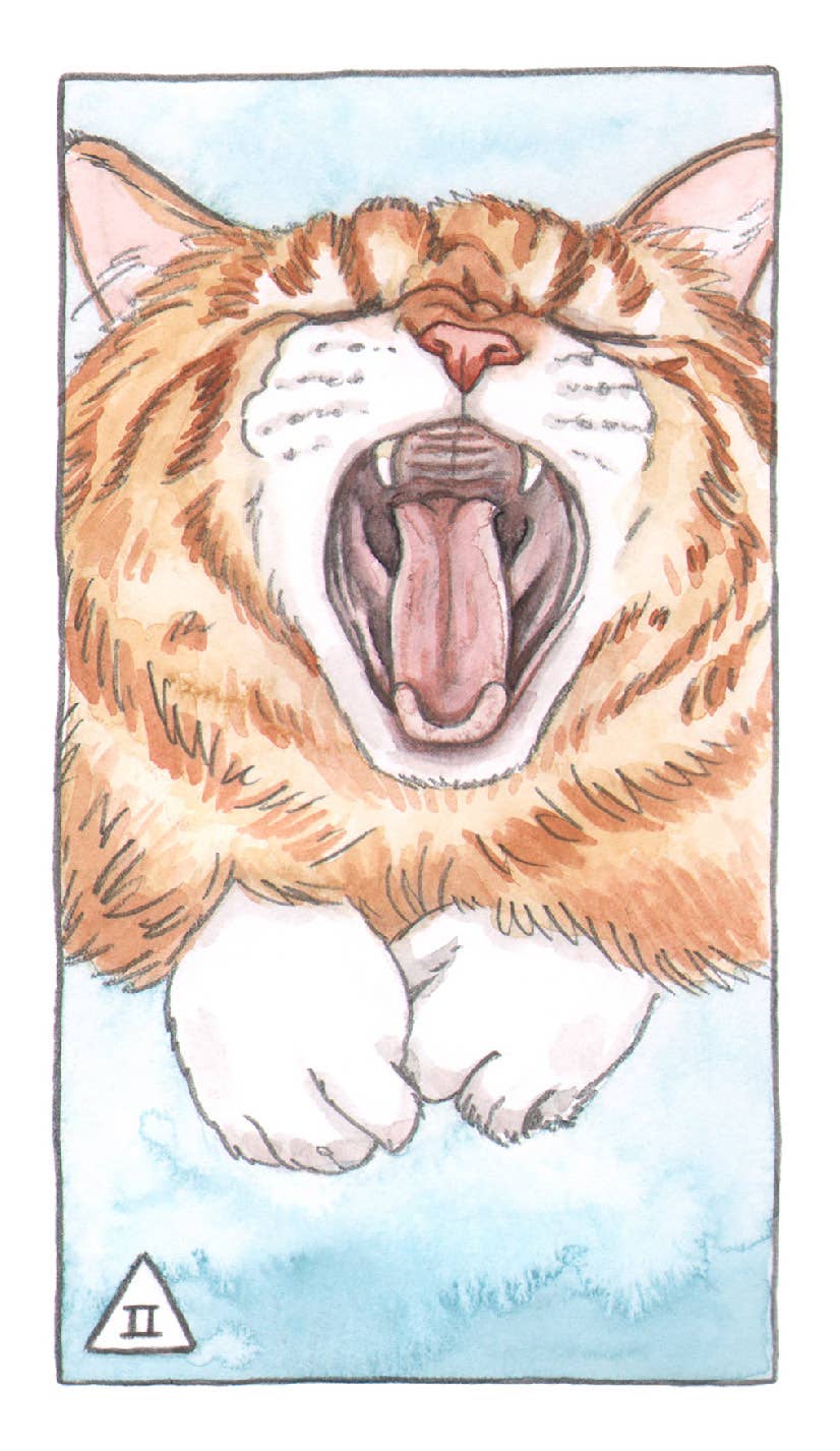 Chronicle Books - Cat Tarot