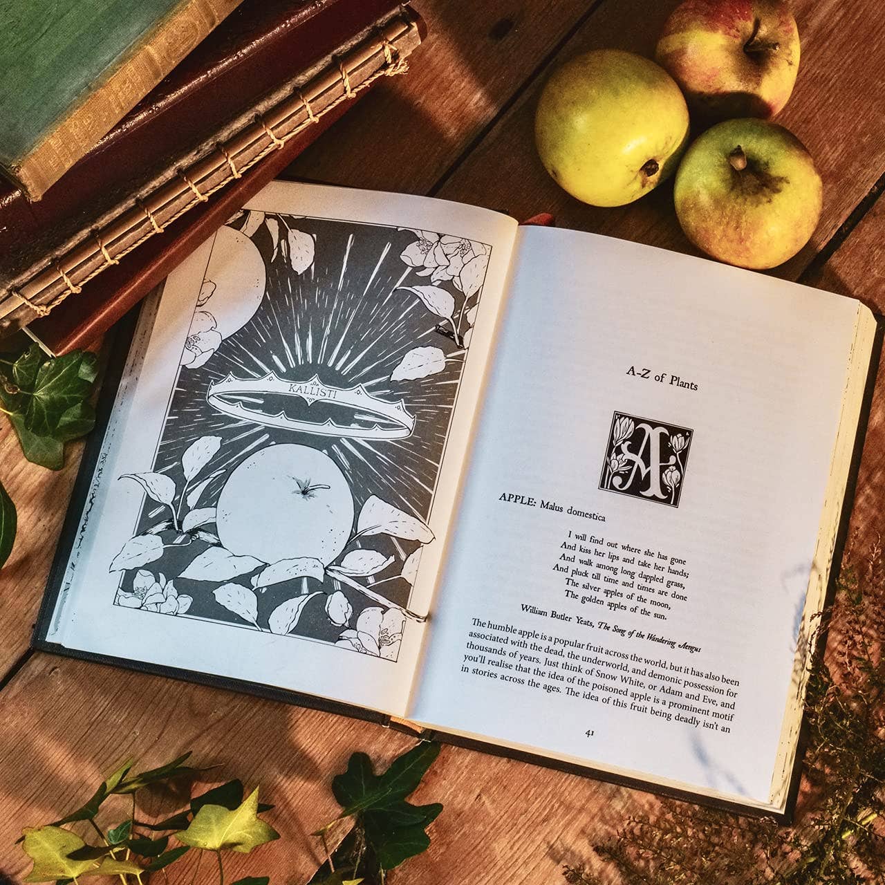 Hachette Book Group - Botanical Curses and Poisons: The Shadow-Lives of Plants (Co