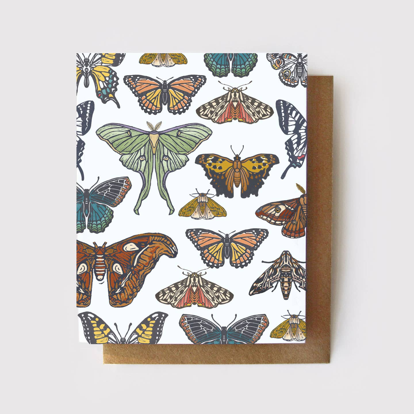 Butterfly + Moth Collection Everyday Greeting Card: Zero Waste, NO Packaging - Root & Branch Paper Co.