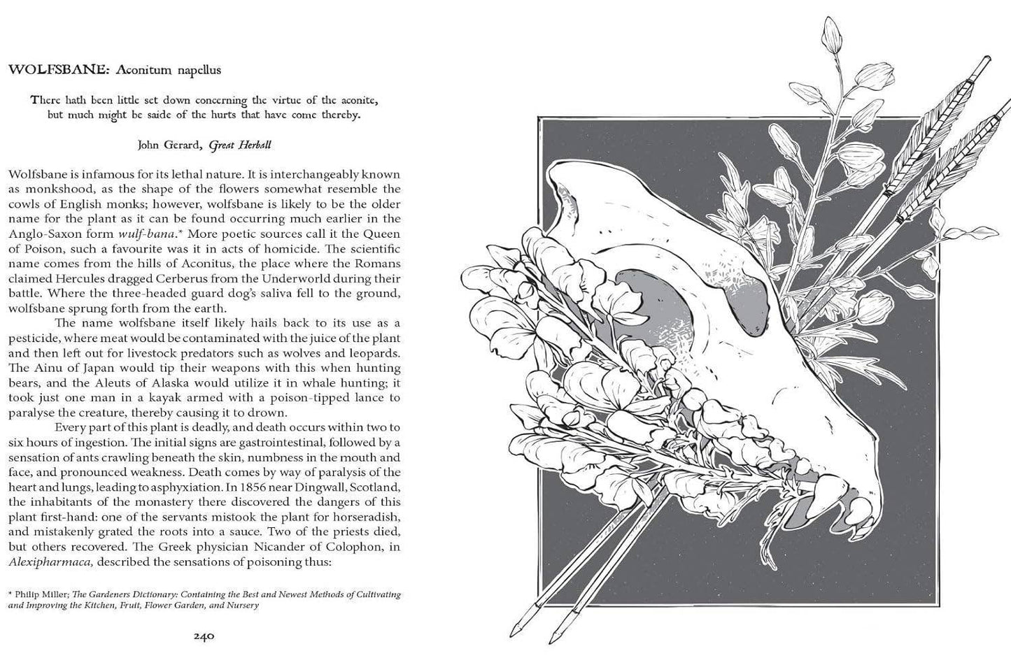 Hachette Book Group - Botanical Curses and Poisons: The Shadow-Lives of Plants (Co