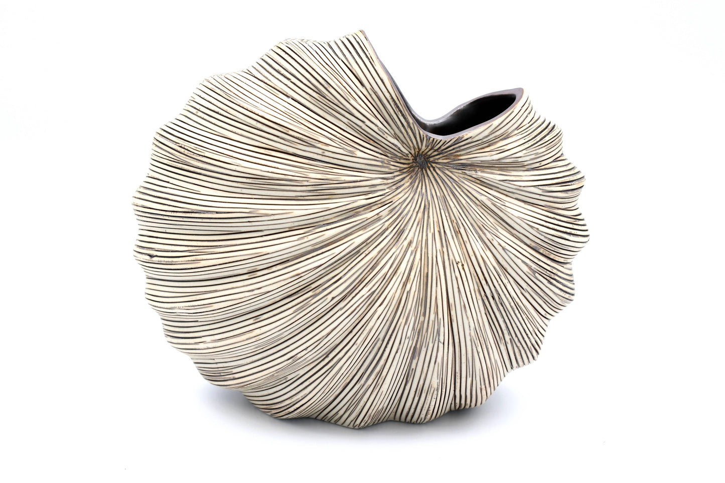 Art Floral Trading LLC - 1280W1 PALM S - WO 1 COCKLE Porcelain Ceramic Bud Vase