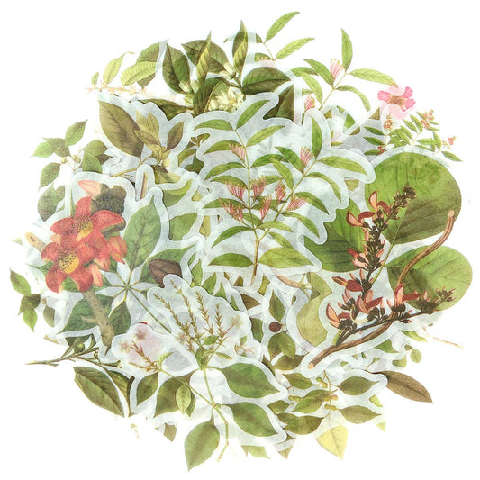 Wrapables.com - Wrapables Decorative Scrapbooking Washi Stickers, (60 pcs): Greenery