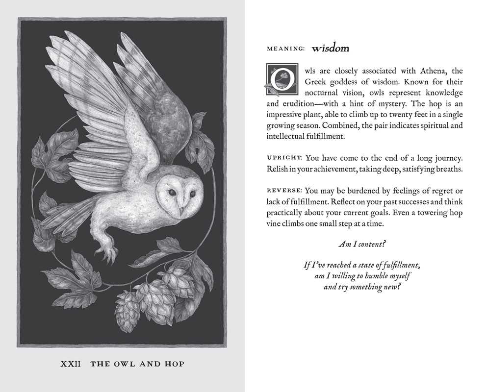 Simon & Schuster - Woodland Wardens by Jessica Roux: Mixed Media; 52 pages / English