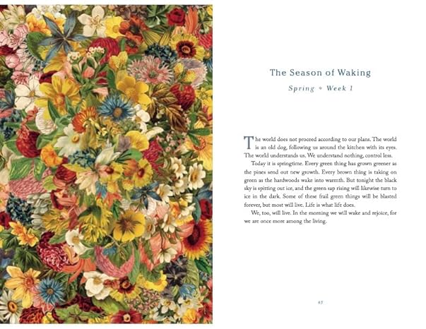 The Comfort of Crows: A Backyard Year by Margaret Renkl