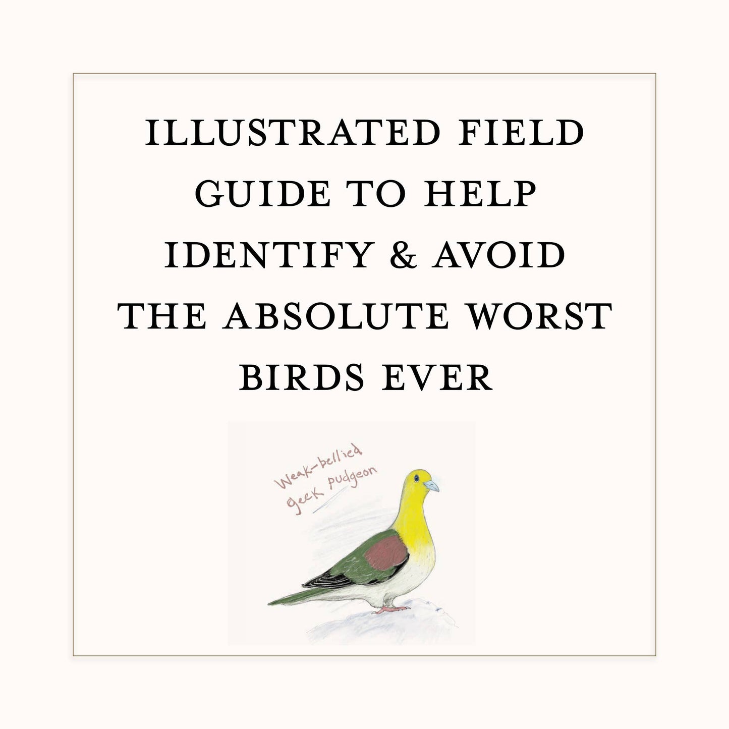 Dumb Birds Field Guide to the Worst Birds Ever - Chronicle Books