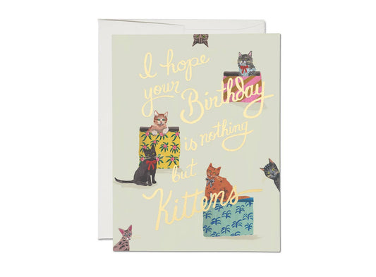 Red Cap Cards - Nothing But Kittens birthday greeting card
