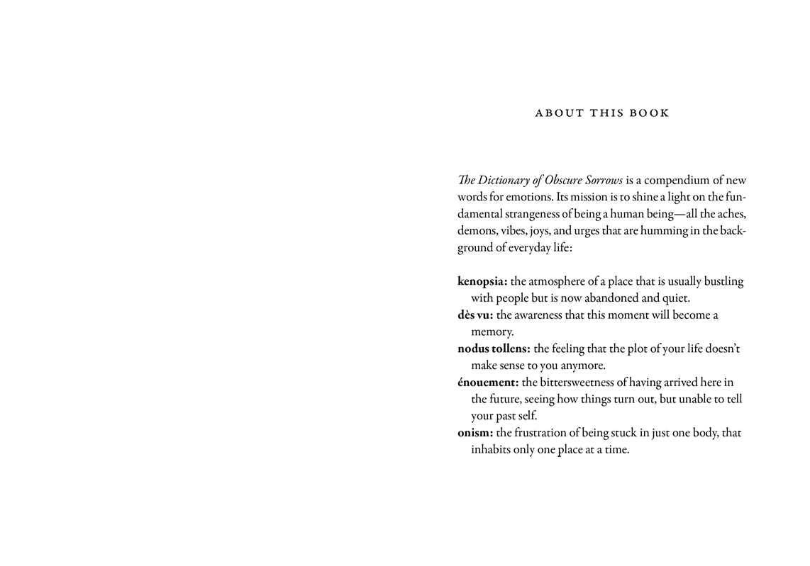 Dictionary of Obscure Sorrows by John Koenig: Hardcover; 288 pages / English