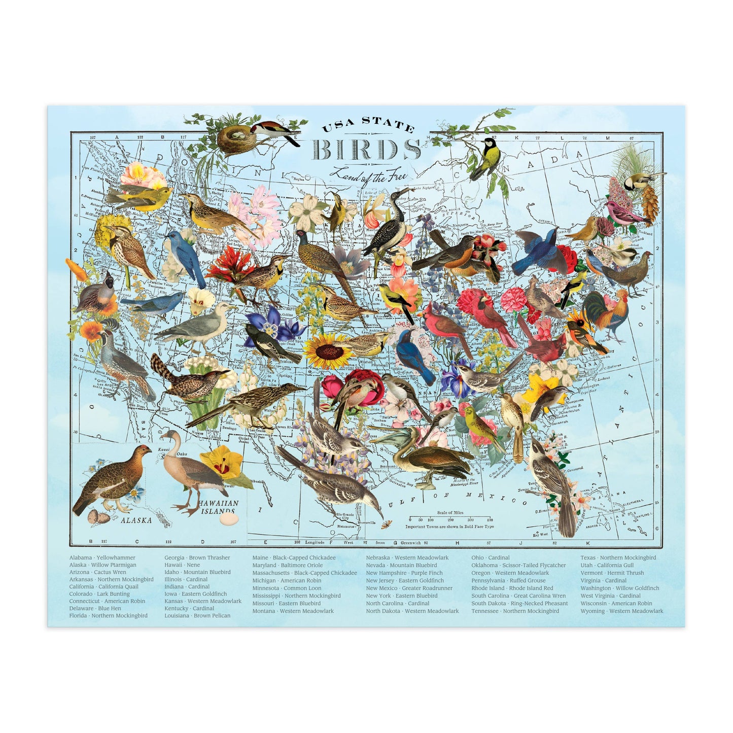 Chronicle Books - Wendy Gold State Birds 1000 Piece Puzzle