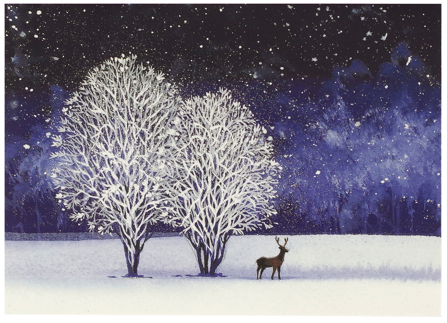 Starry Night Deluxe Boxed Holiday Cards