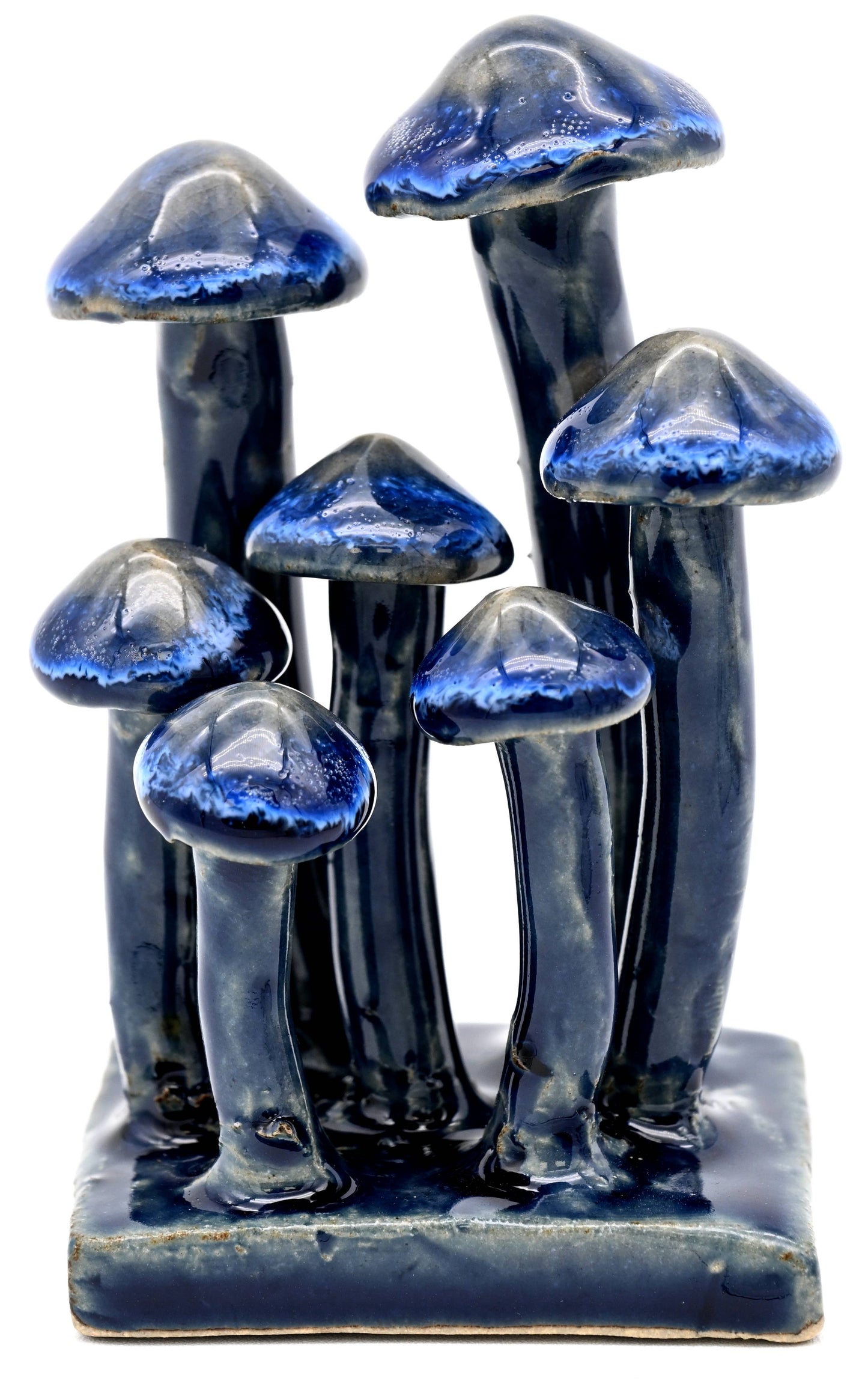 Art Floral Trading LLC - SRI189EFFB Cluster Of Mushrooms L Blue Effect