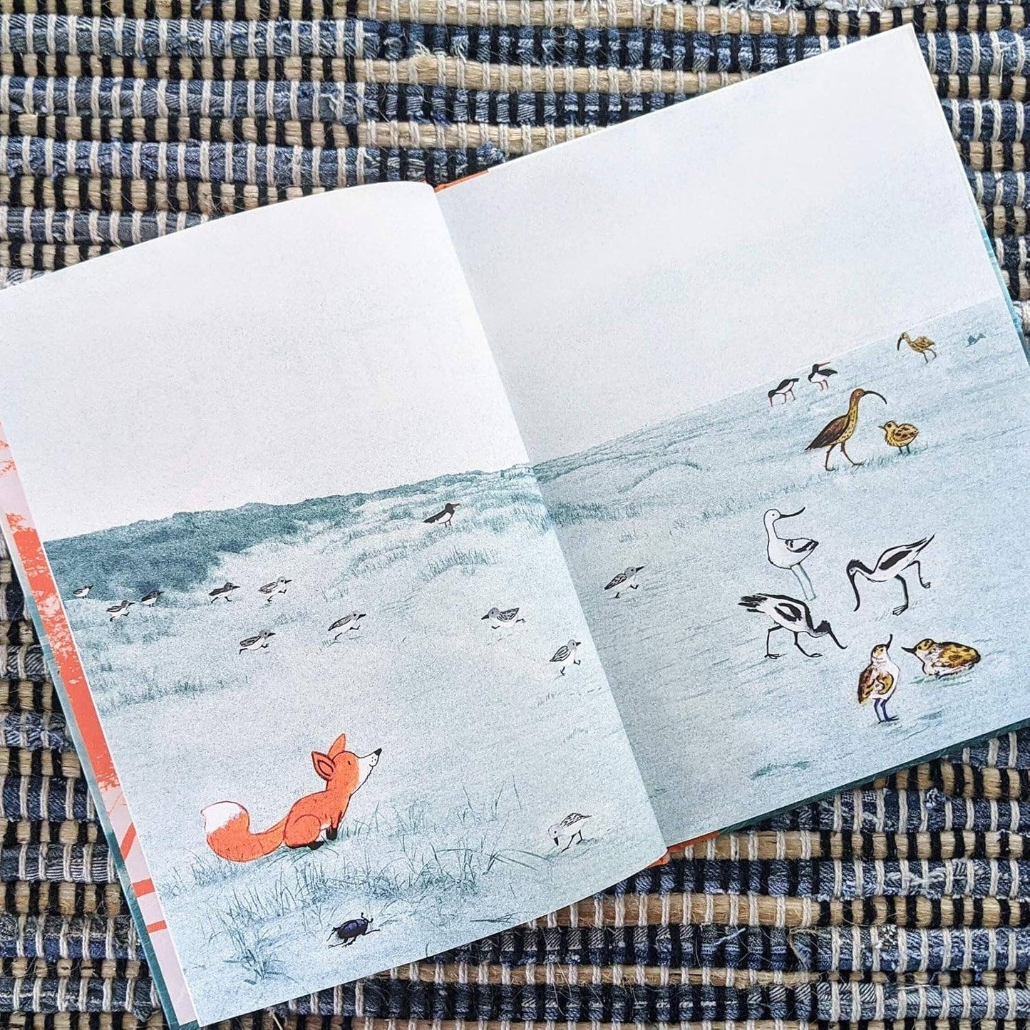 Chronicle Books - Little Fox