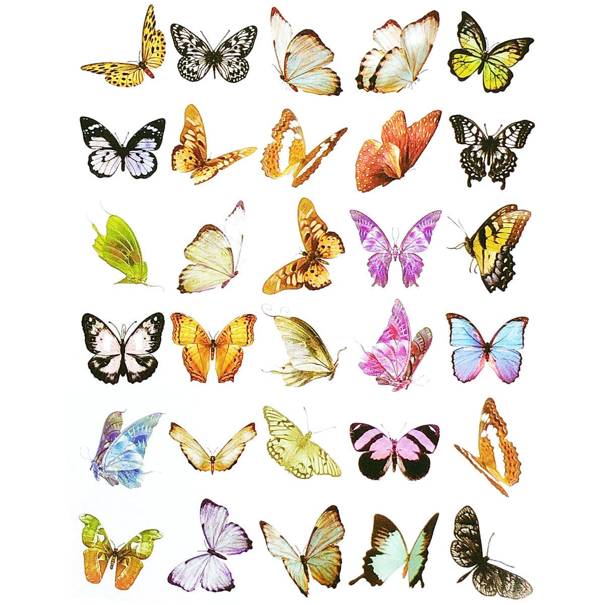 Wrapables.com - Wrapables Decorative Scrapbooking Washi Stickers, (60 pcs): Butterflies