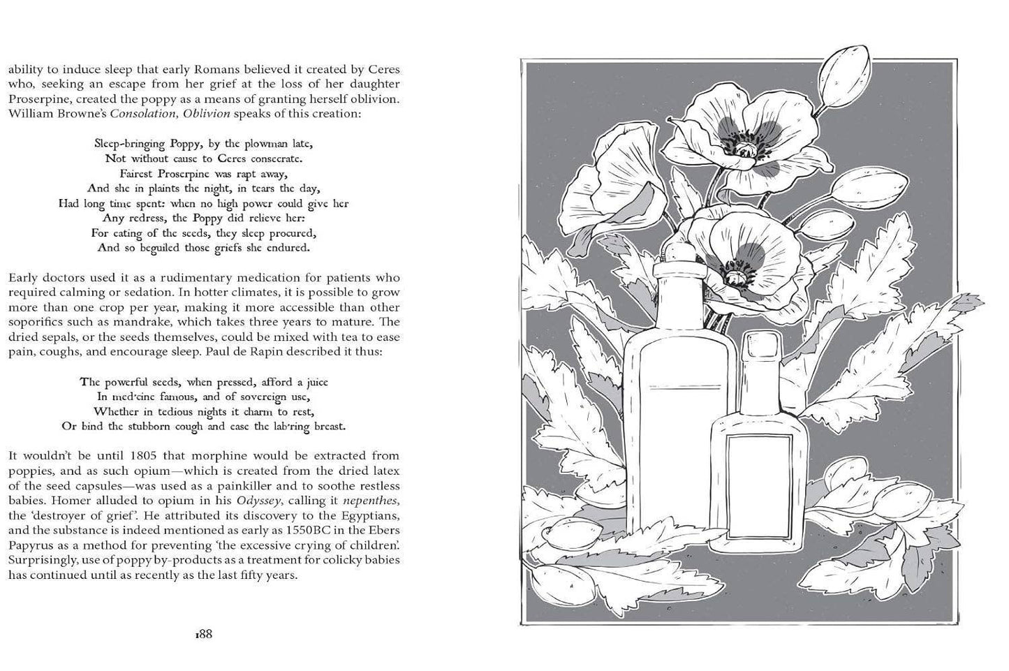 Hachette Book Group - Botanical Curses and Poisons: The Shadow-Lives of Plants (Co