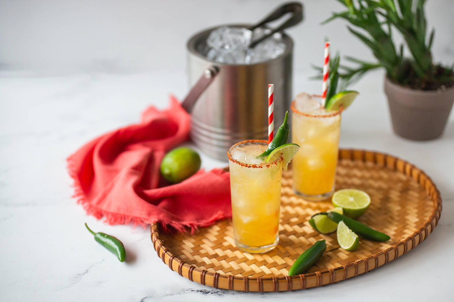 Portland Syrups - Gift Set - Emerald Standard Cocktail / Mocktail Drink Mixers