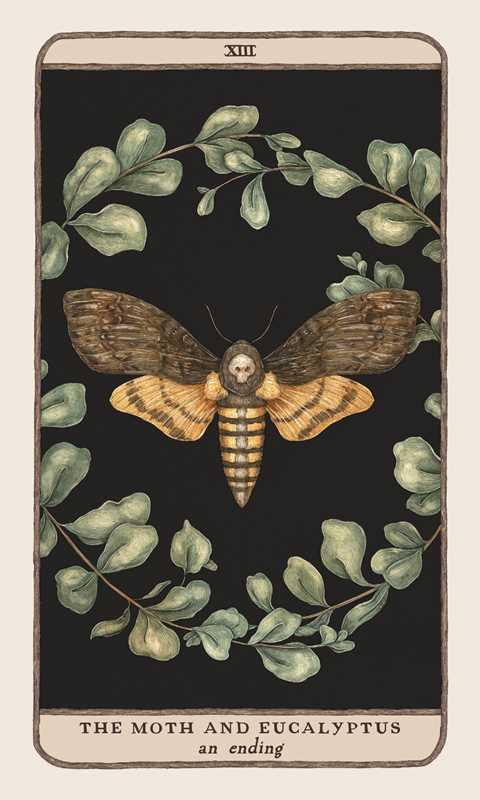 Simon & Schuster - Woodland Wardens by Jessica Roux: Mixed Media; 52 pages / English