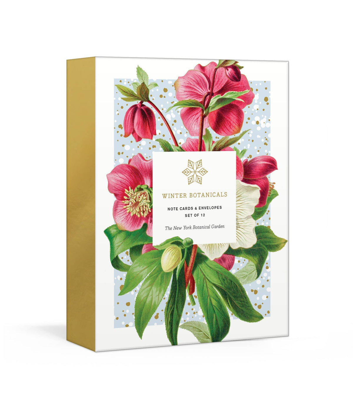 Winter Botanicals Note Cards and Envelopes
