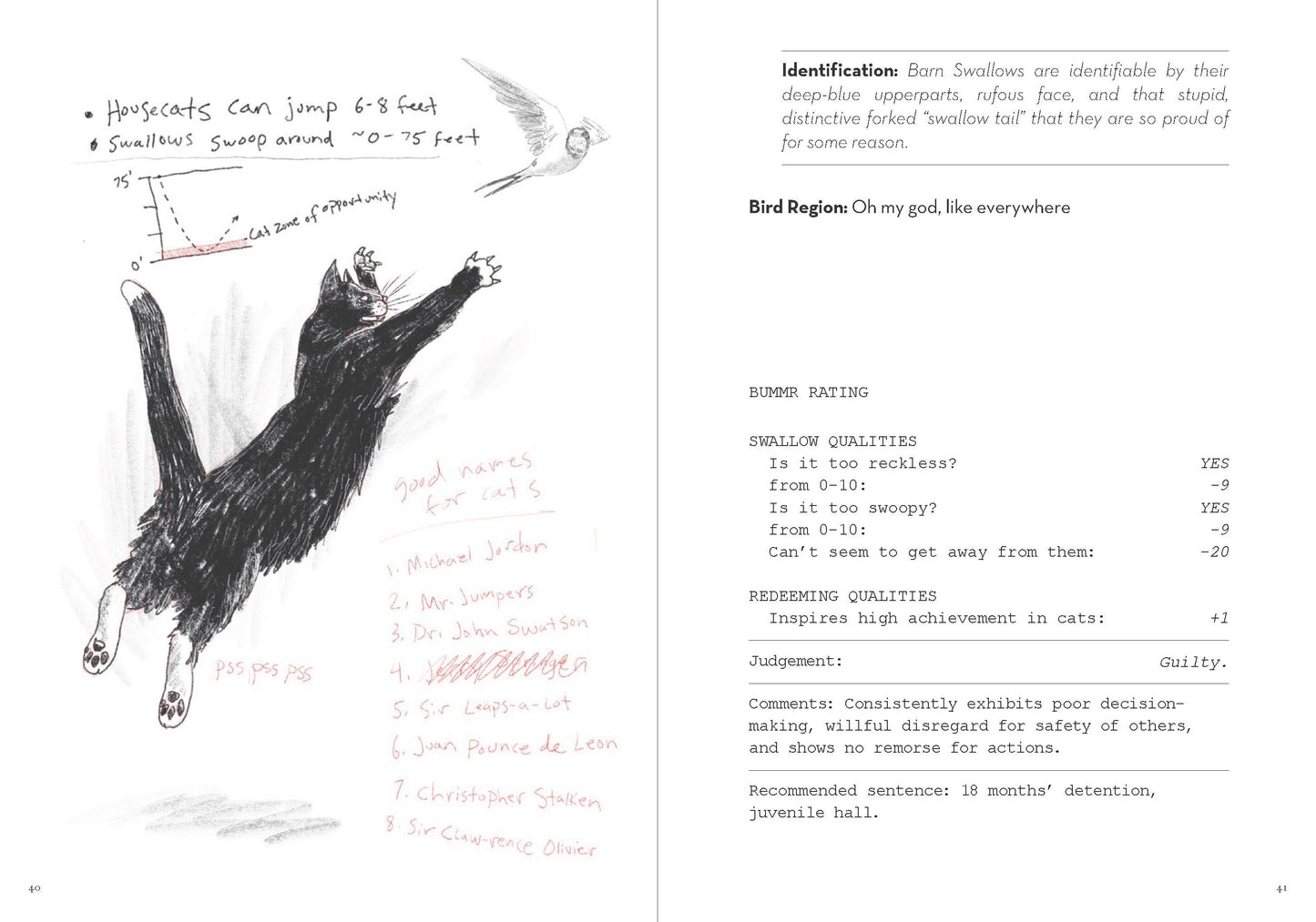 Dumb Birds Field Guide to the Worst Birds Ever - Chronicle Books