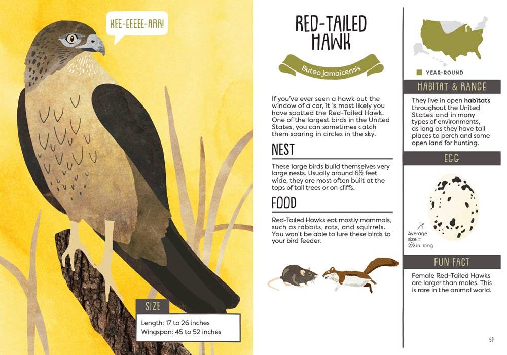 Gibbs Smith - Kid’s Guide to Backyard Birds