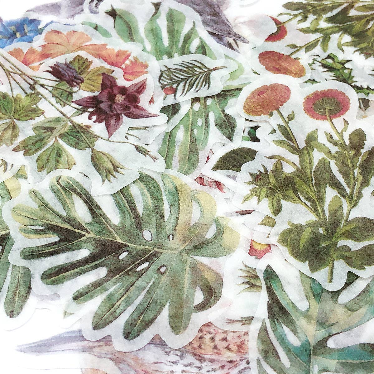 Wrapables.com - Wrapables Decorative Scrapbooking Washi Stickers, (60 pcs): Floral