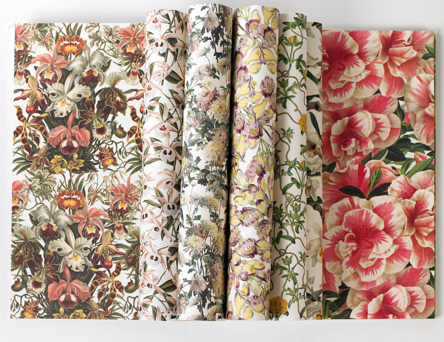 Pepin Press - Flower Prints Gift & Creative Paper Book