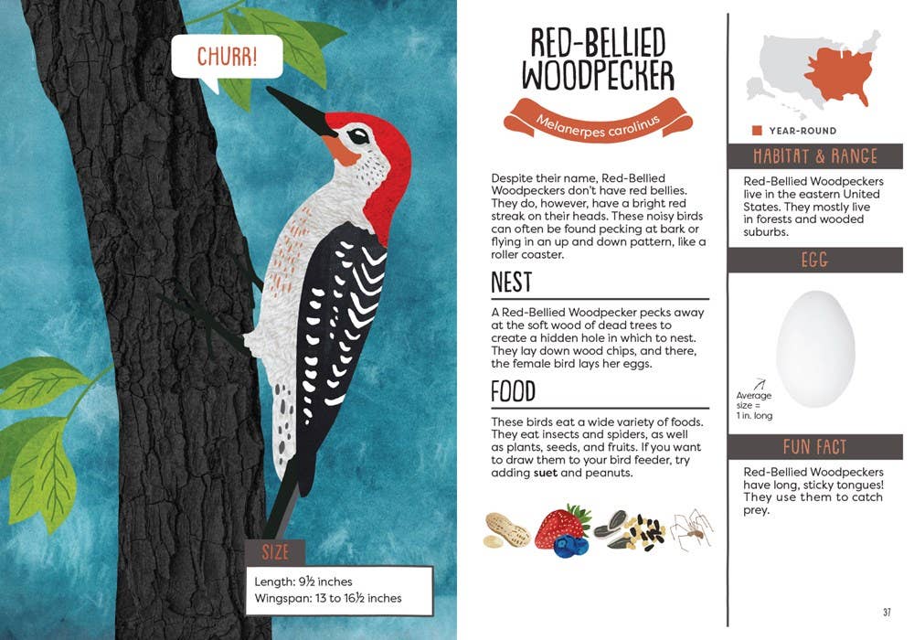 Gibbs Smith - Kid’s Guide to Backyard Birds