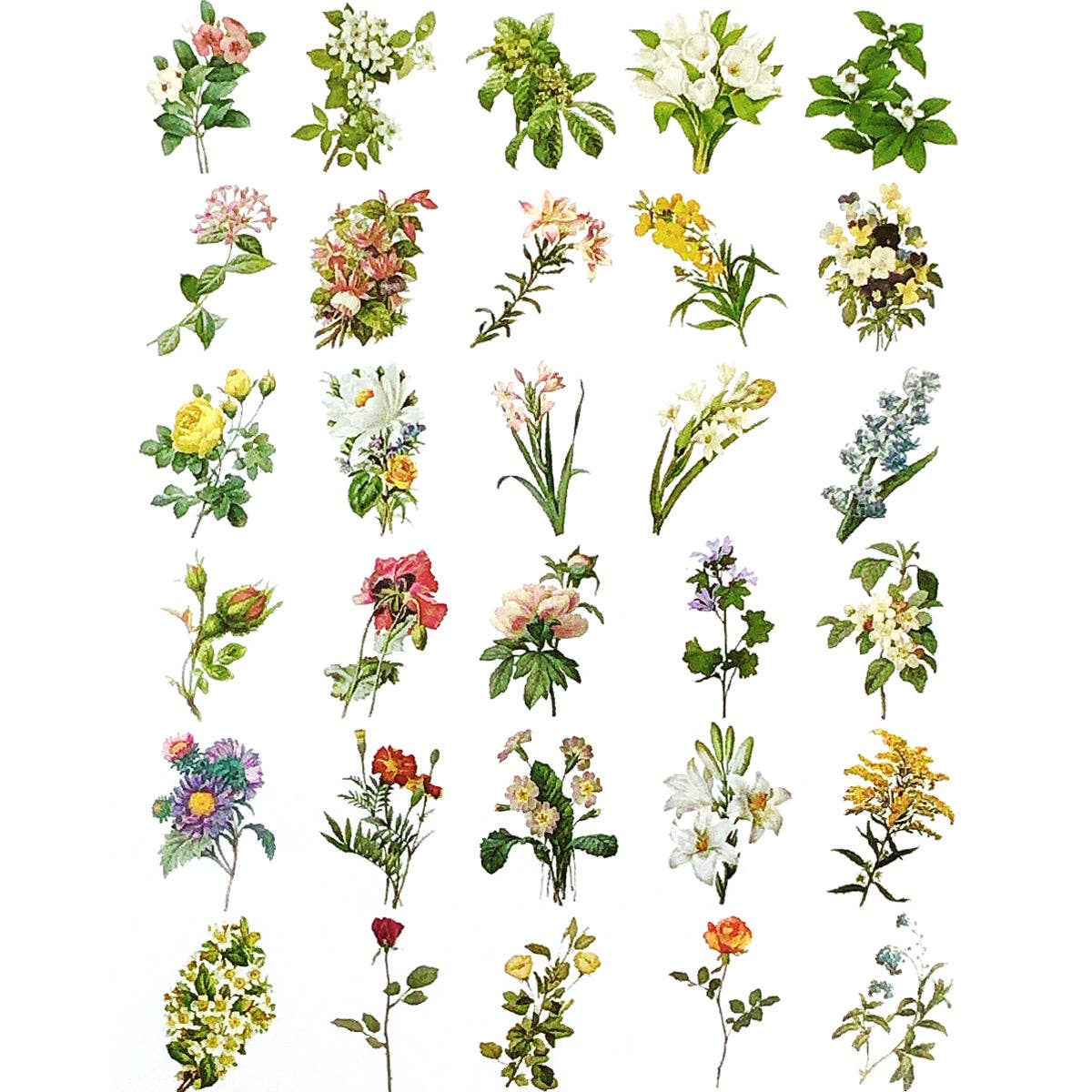 Wrapables.com - Wrapables Decorative Scrapbooking Washi Stickers, (60 pcs): Butterflies