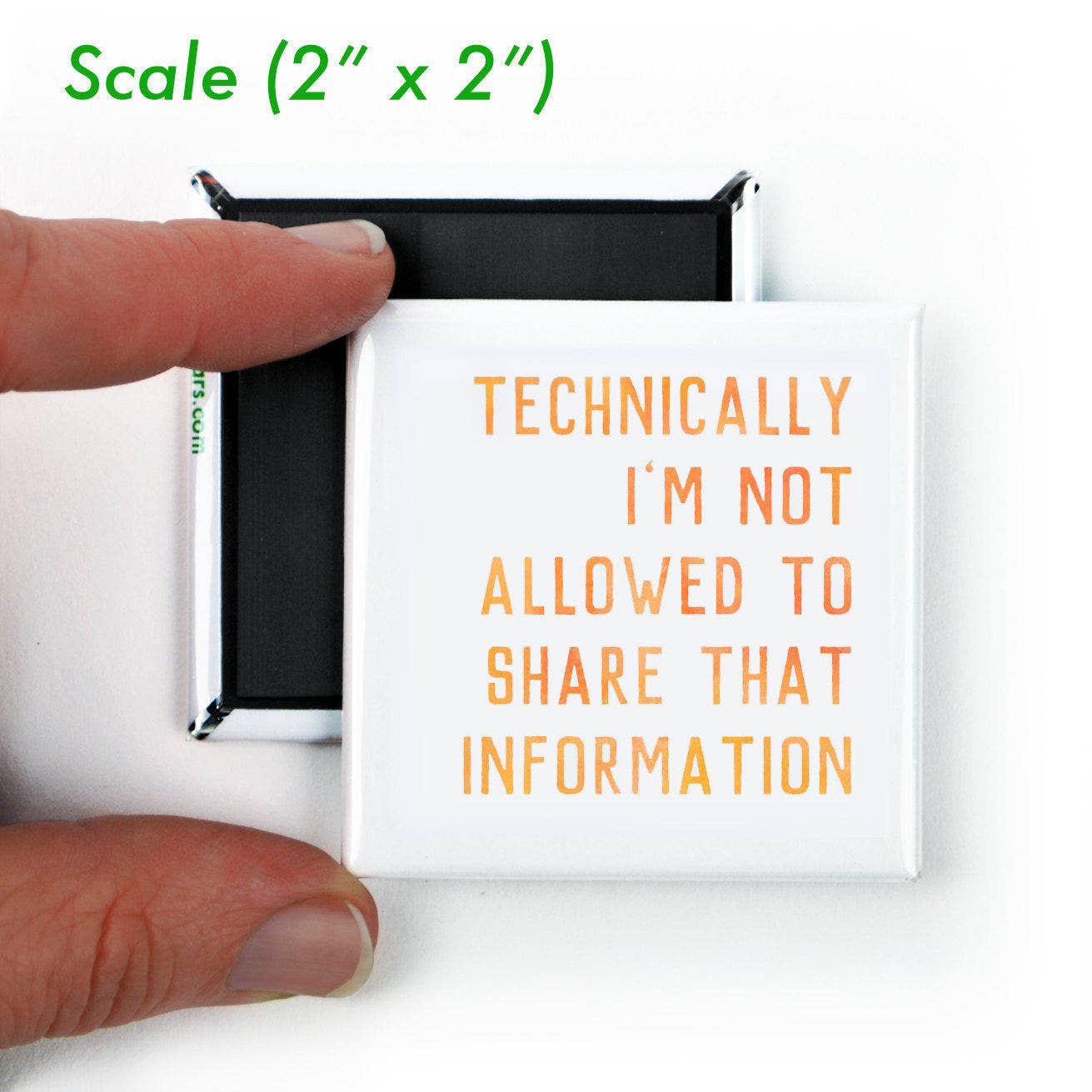 Tortoise and the Hare Funny Magnet