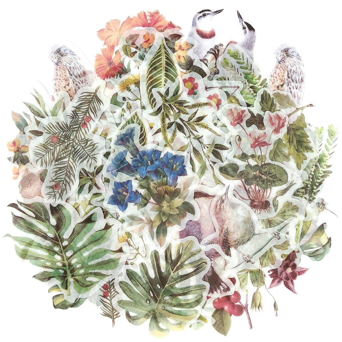 Wrapables.com - Wrapables Decorative Scrapbooking Washi Stickers, (60 pcs): Floral