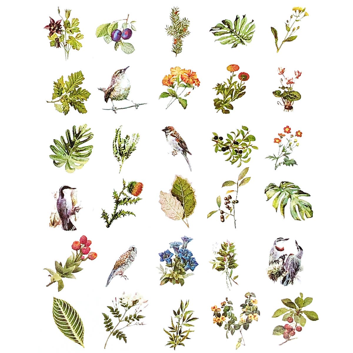 Wrapables.com - Wrapables Decorative Scrapbooking Washi Stickers, (60 pcs): Butterflies