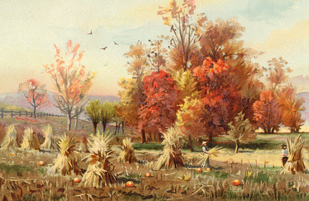 Fall Farm - Print - Stomping Grounds