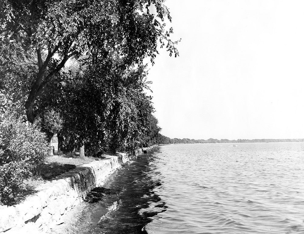 The Willows, Geneva, NY - Print - Stomping Grounds