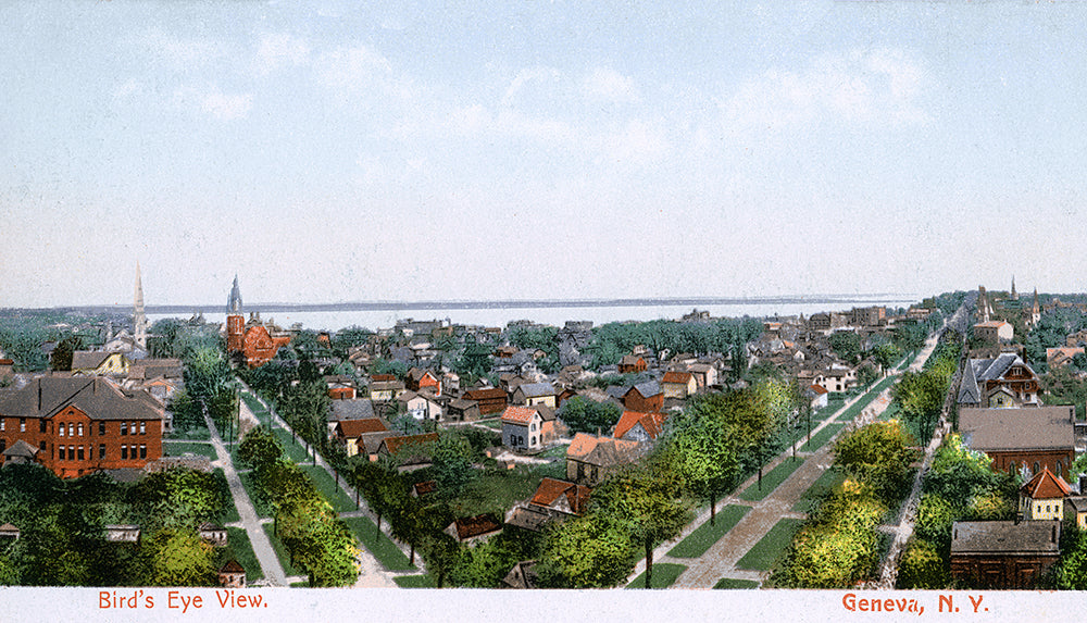 Bird's Eye View, Geneva, NY - Print - Stomping Grounds