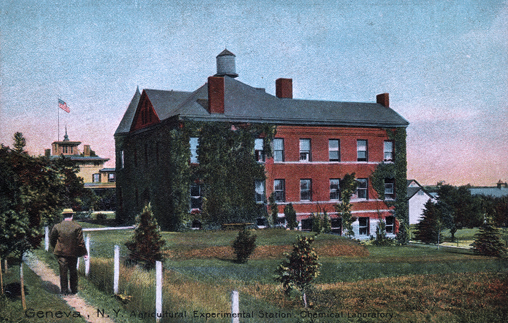 Geneva NY, Agricultural Experimental Station, Chemical Labratory - Print - Stomping Grounds