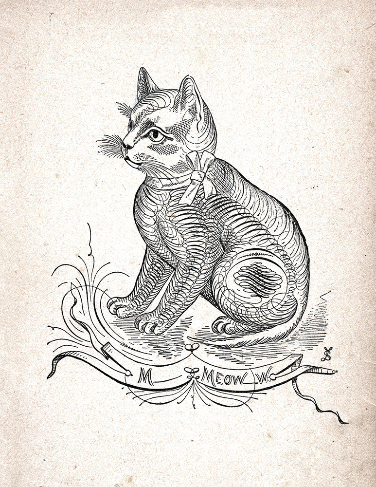 Mmeoww - Print - Stomping Grounds