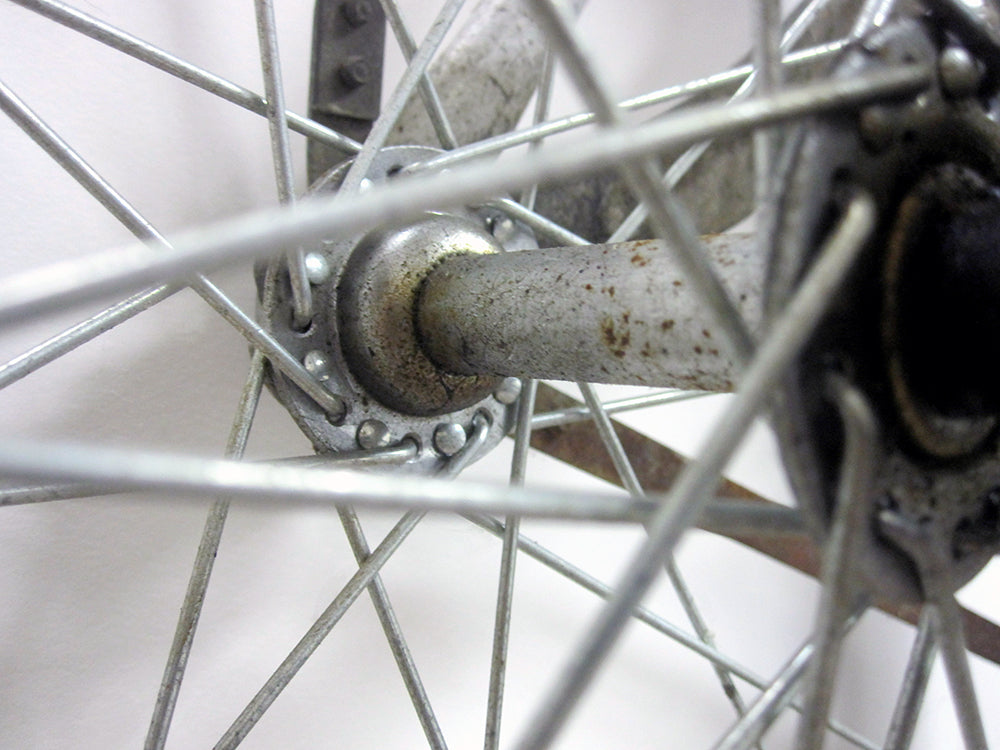 Monarch Silverking II - Print - Stomping Grounds