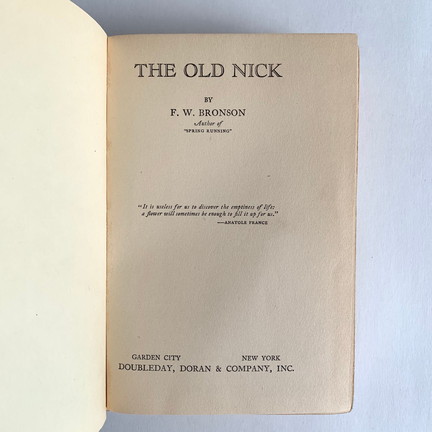 Vintage Book- The Old Nick by F. W. Bronson