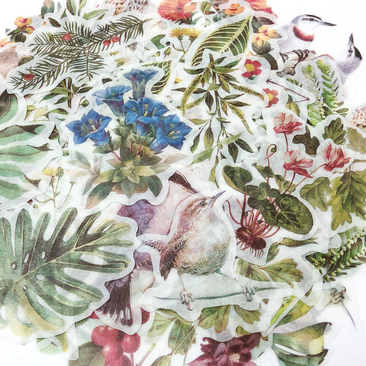 Wrapables.com - Wrapables Decorative Scrapbooking Washi Stickers, (60 pcs): Greenery
