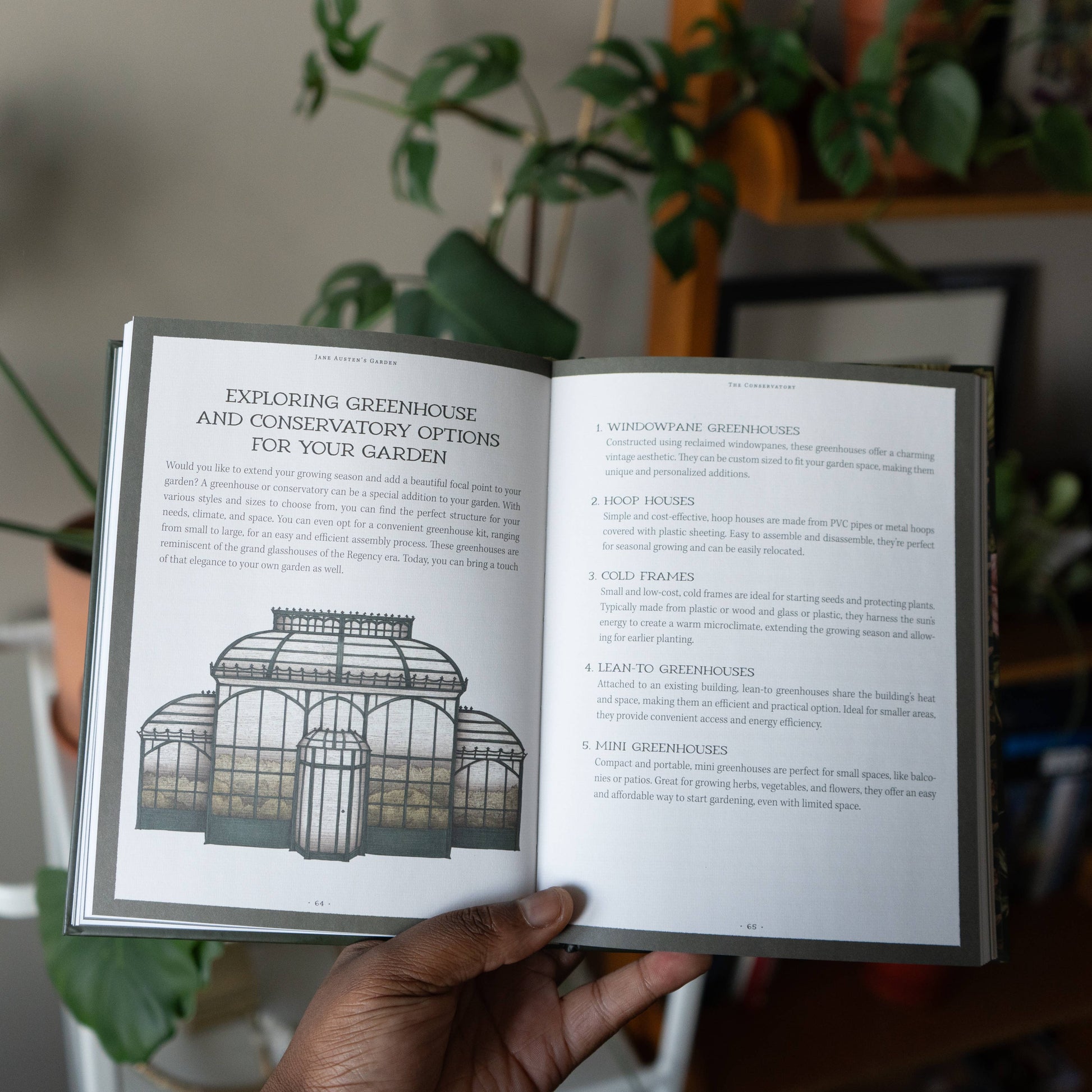 Jane Austen's Garden by Molly Williams - Stomping Grounds