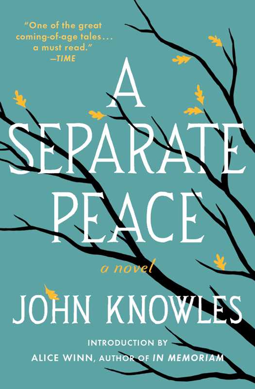 Simon & Schuster - Separate Peace by John   Knowles: Paperback; 208 pages / English