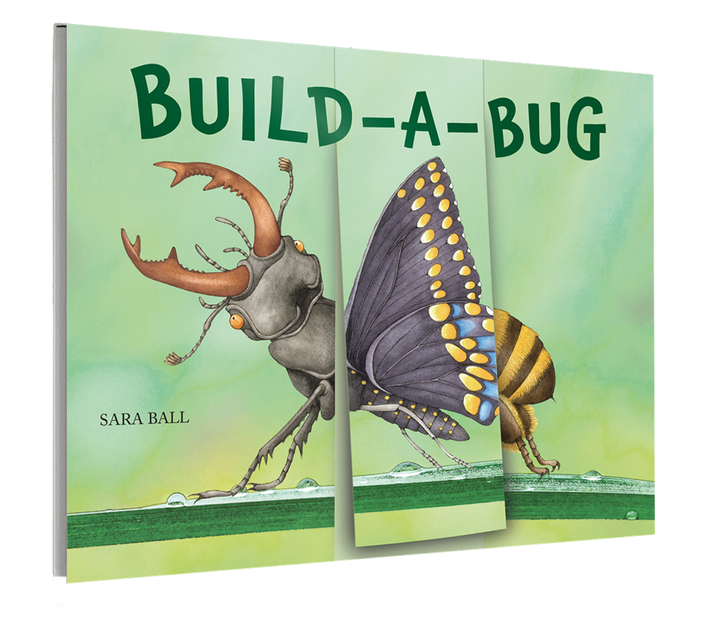 Creativebug House Book Examples Build-A-Bug Board Book – Stomping Grounds
